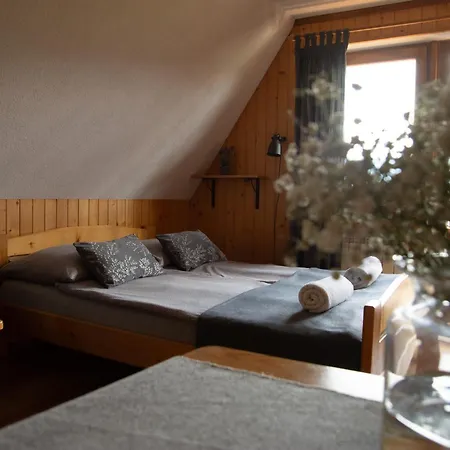 Pokoje Widokowe Tatra Ventus Zakopane