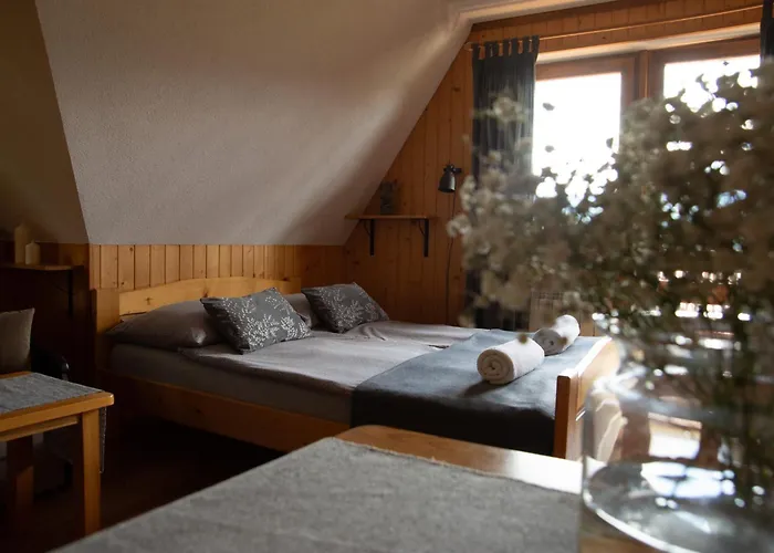 Widokowe Tatra Ventus Zakopane